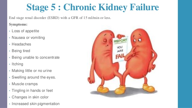 Stage 5 Kidney Failure Kidney Failure Disease